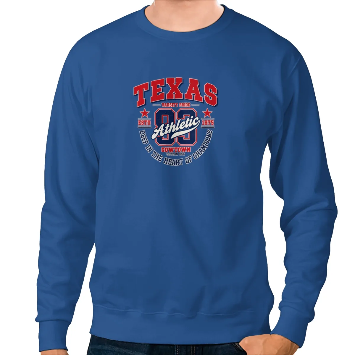 City Texas Sweatshirt
