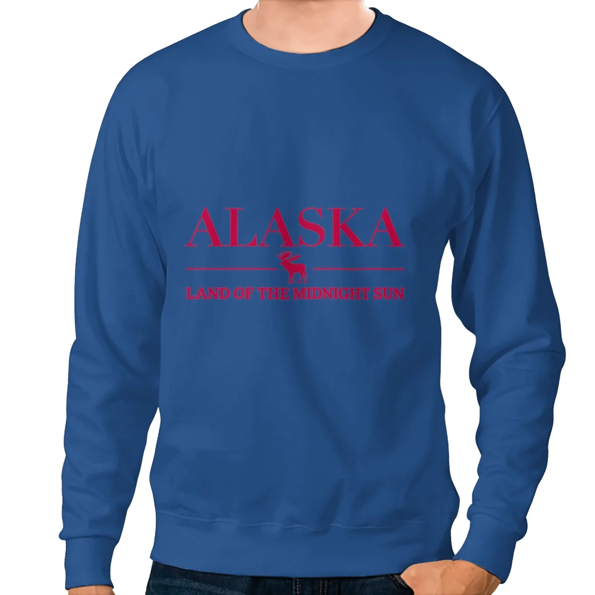 Alaska Land of the Midnight Sun Vintage Moose Graphic – Northern Wilderness Design Sweatshirt